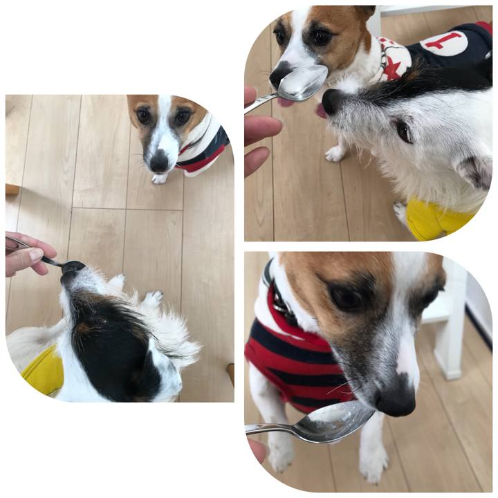 F6f3af67 5d6f 4516 83a1 605fe77748cb 1521673419421