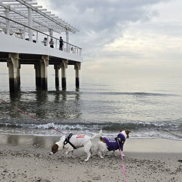 F6f3bb9d e8bc 44ca 9d13 655ea036b374 1766280423673