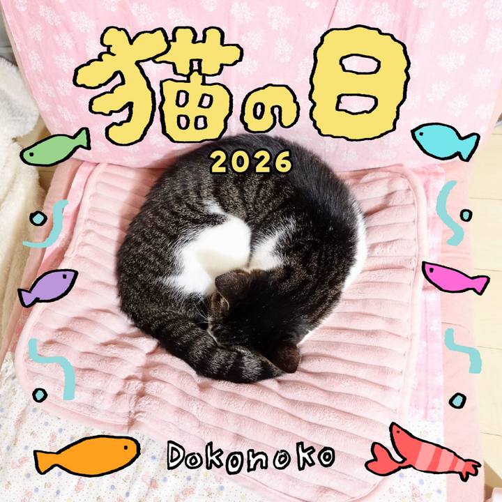 F6f3d86b e776 426a 8f90 90b517150b2b 1771725002412