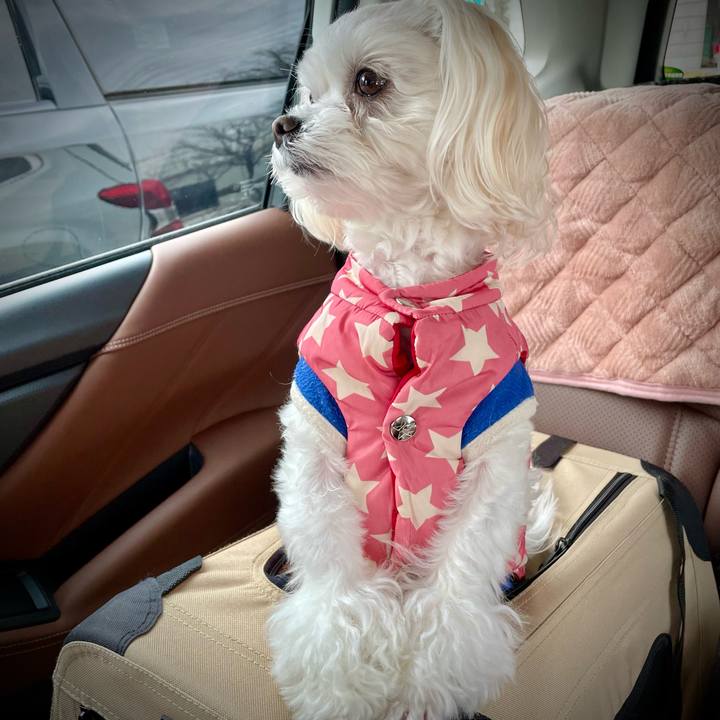 F6f3dc25 500d 429d 8d1a 1c1fd2433ced 1645252927447