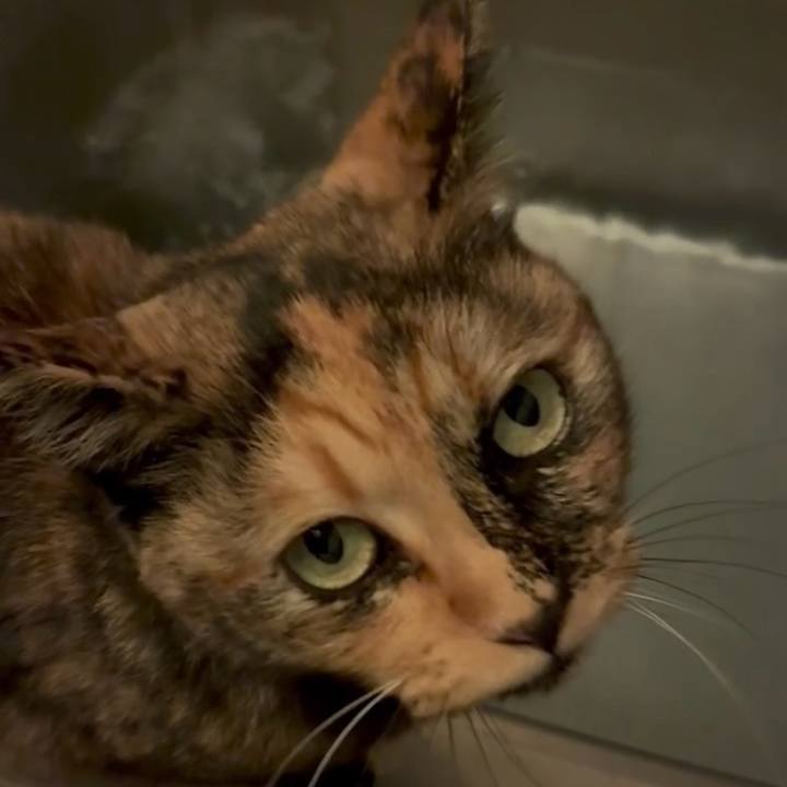 F6f3ddd5 ae93 4b14 bce2 b77eb5317e1a 1761423838278