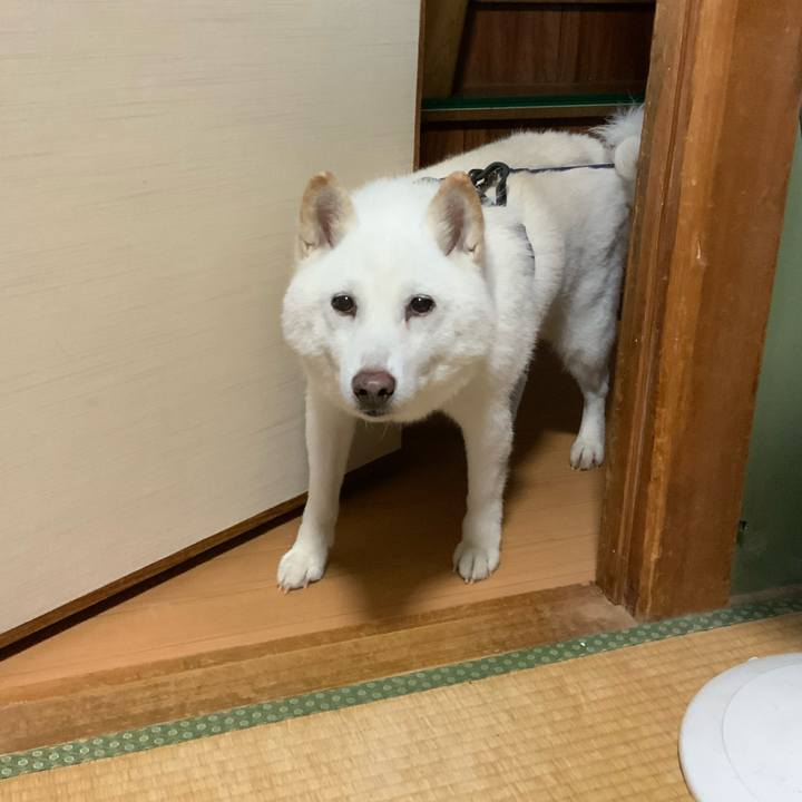 F6f3e0fc 2456 467a b37f 8408d7c12bc7 1758612951247