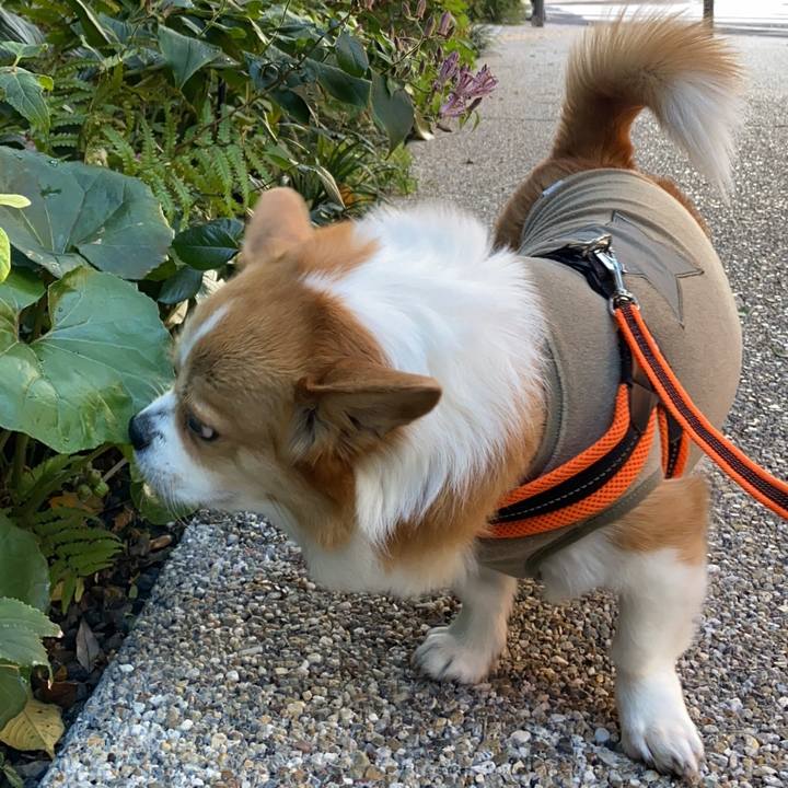 F6f402c8 5cdf 447a 9196 fa5150286497 1762221967541