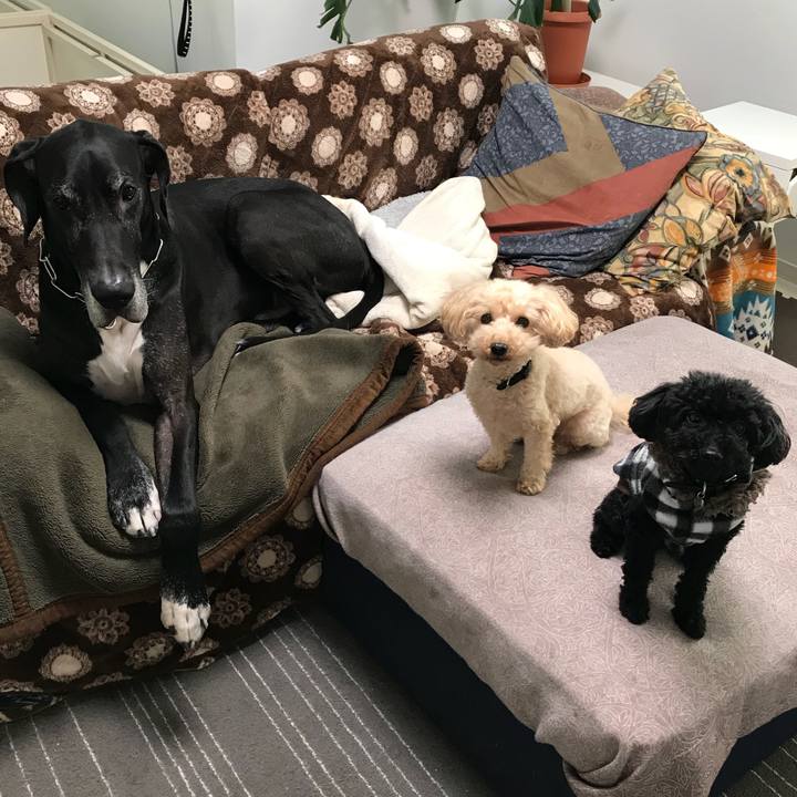 F6f42082 c4ba 4fa1 8617 a56b8654bc16 1512080454626