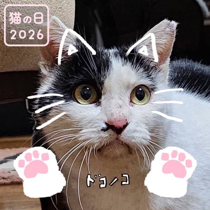 F6f44739 b4d5 46a6 97e5 d651bb788b8f 1771721361442