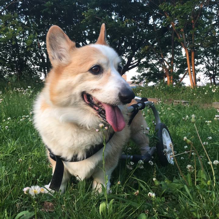 F6f46171 7042 4765 bac2 8250db50709a 1540694069982