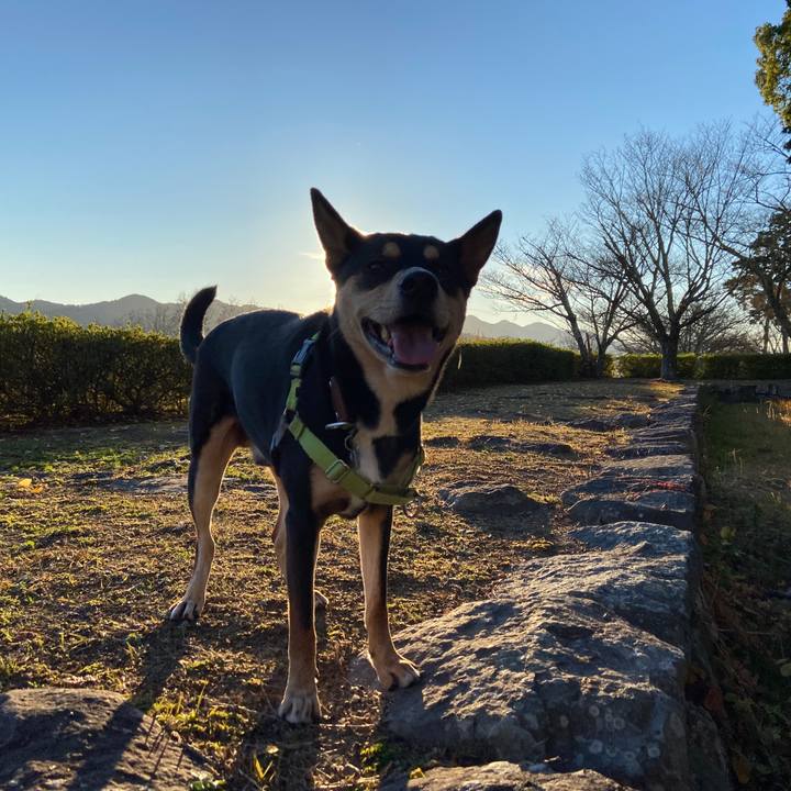 F6f46407 4110 4e4b 848a f6a3568d844d 1638189210853