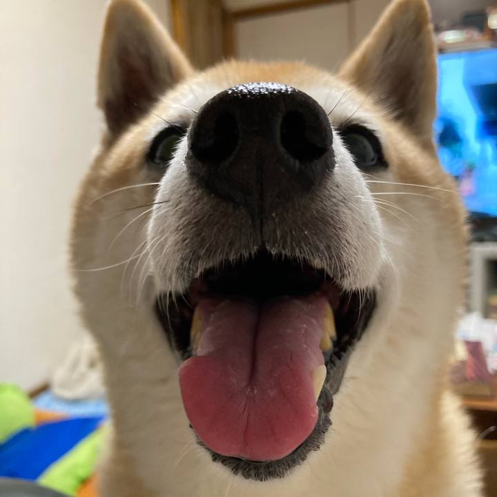 F6f48f5d 748a 4d14 8554 b0b1ab9dcaf1 1632487347134