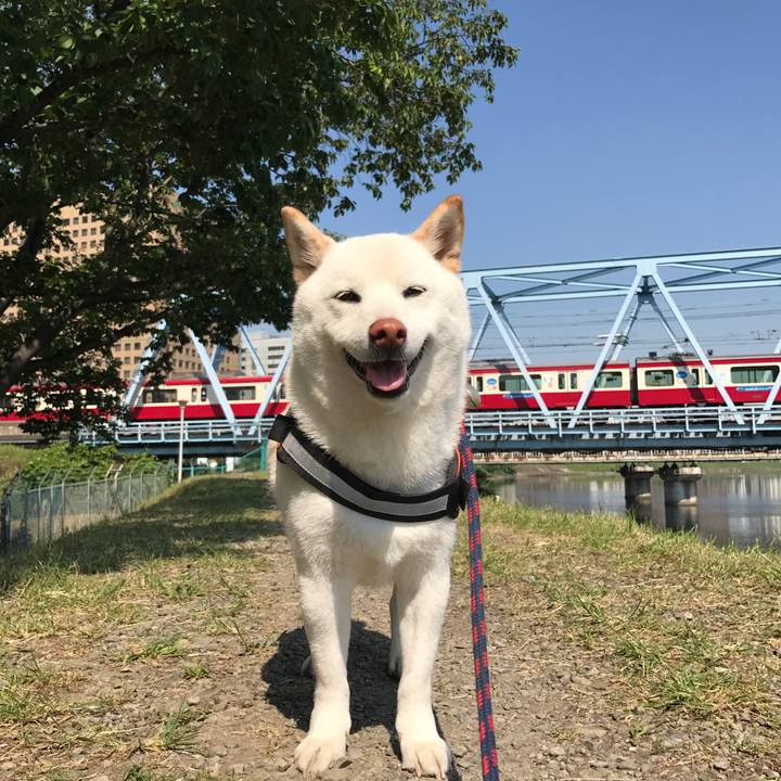 F6f49c1d c07c 4b2b 8830 9424949db4bd 1526946115038