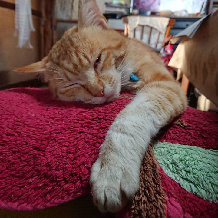 F6f4ceda aba8 40c4 9289 ceddbb6d6412 1556918262540