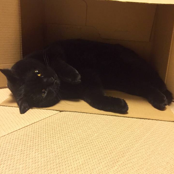 F6f4ff0a c1f1 46c9 89ff e6917ab03826 1524664024201