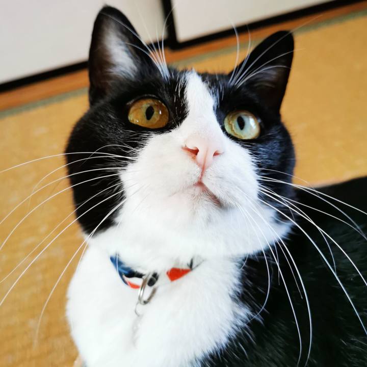 F6f51e6f 0595 44f8 8409 254ec2c756bb 1630125641061