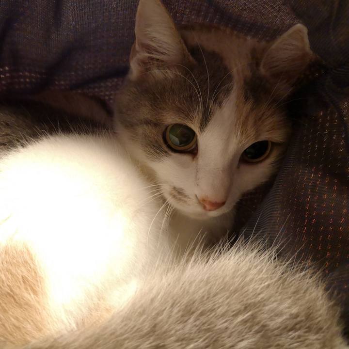 F6f53ee7 a542 4f11 9f7f 41bd6e66f75b 1556806693612