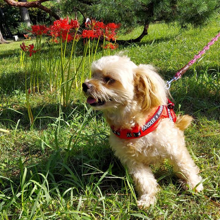 F6f5666f 4bb5 4fe2 94d8 dc0c2ed2212e 1695463563731