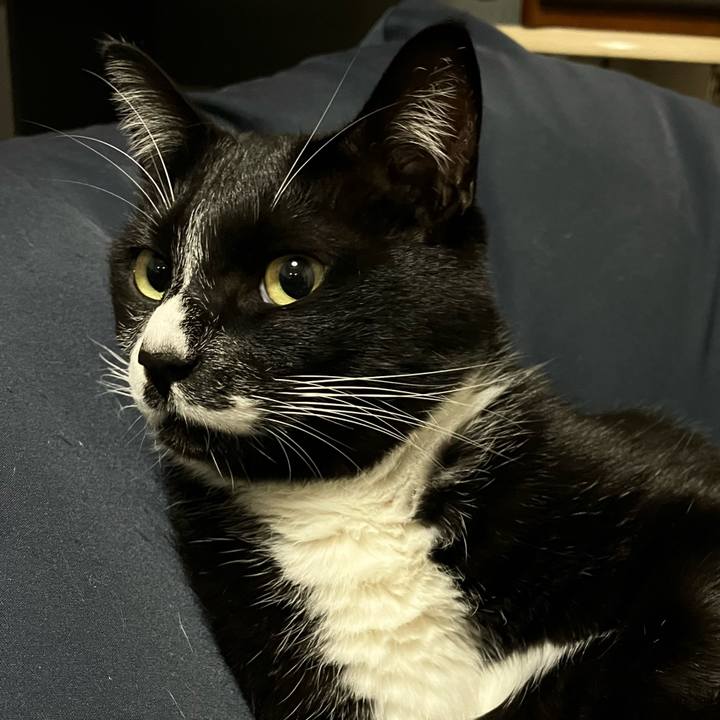 F6f56bdc b600 454d b5a3 7faee4300eae 1670903965992