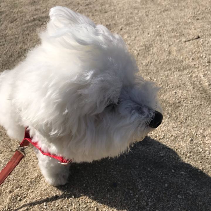 F6f57d3b 1760 4fb2 93fe 6b51f8687e4b 1574133973093