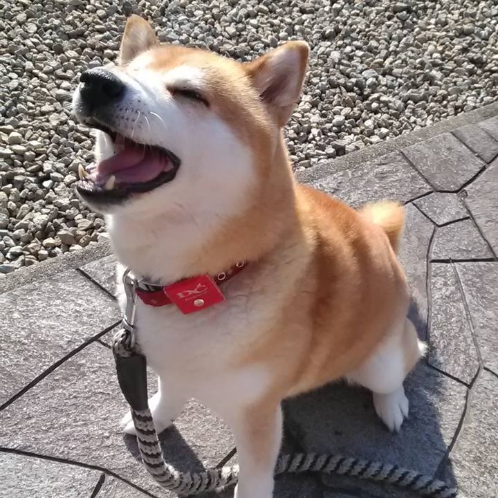 F6f586e7 d154 4561 bc0c 0205e1814c76 1687214596286