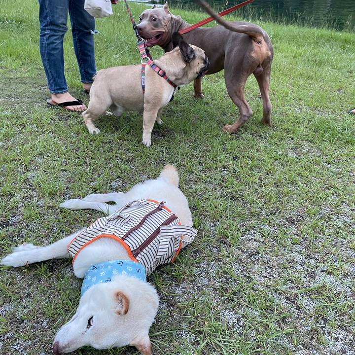 F6f5b998 e354 43f3 992e a03f3ae8254a 1657716916401