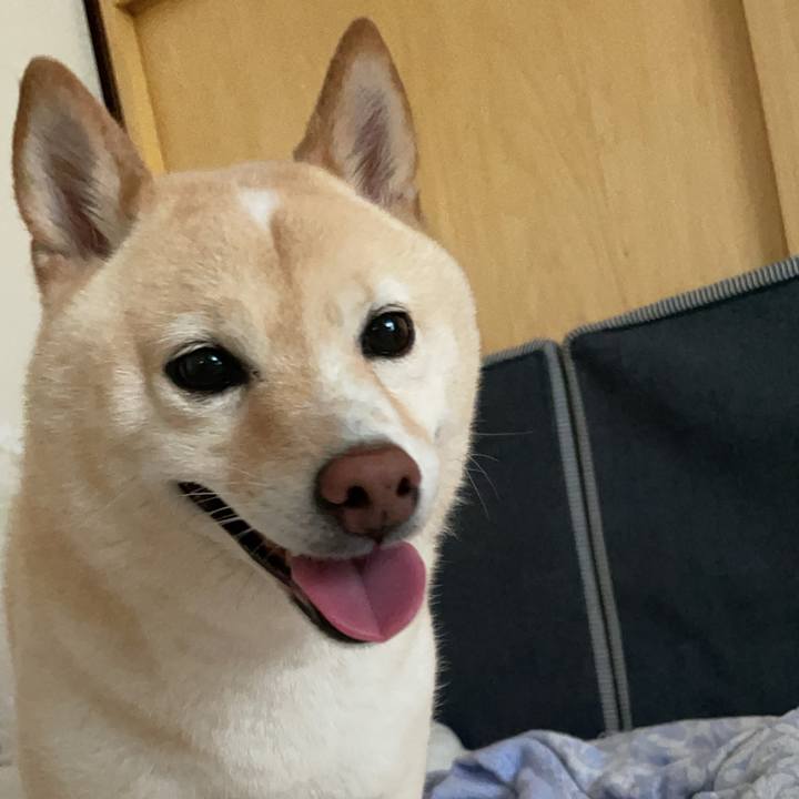 F6f5d43c ba14 444d b3e5 e1cb27cb074e 1722654590944