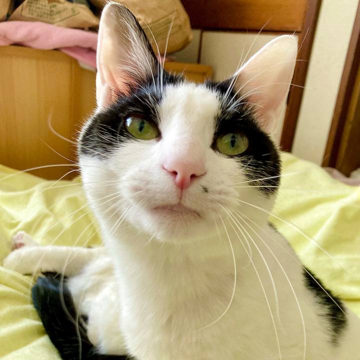 F6f5f3bb f985 4d0c 967d 6afa439d6f4a 1675576516064