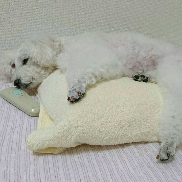 F6f6012c 5f51 4aa8 aa4e af68eee0cb12 1562509390383