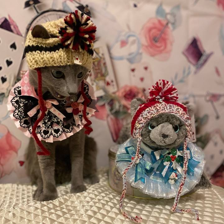 F6f603d8 f244 4c63 ad81 ff807f185df2 1696128758863