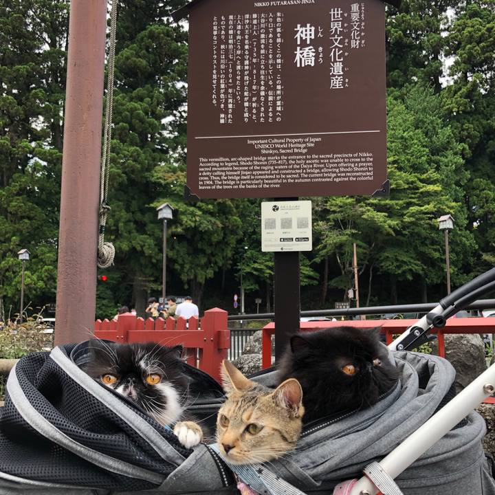 F6f61219 9e01 4053 801a dbdff1df7413 1600747445480