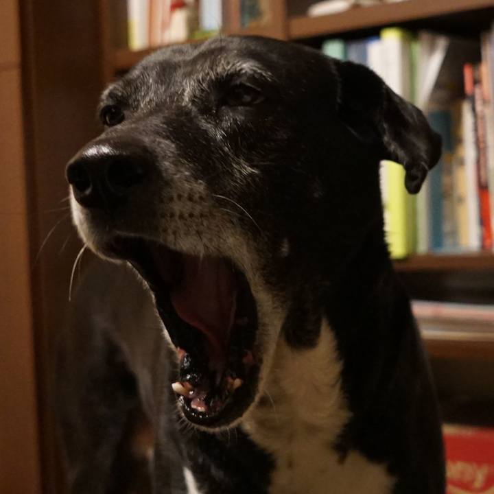 F6f618c2 aafc 402b a072 a3466803704e 1771938288871