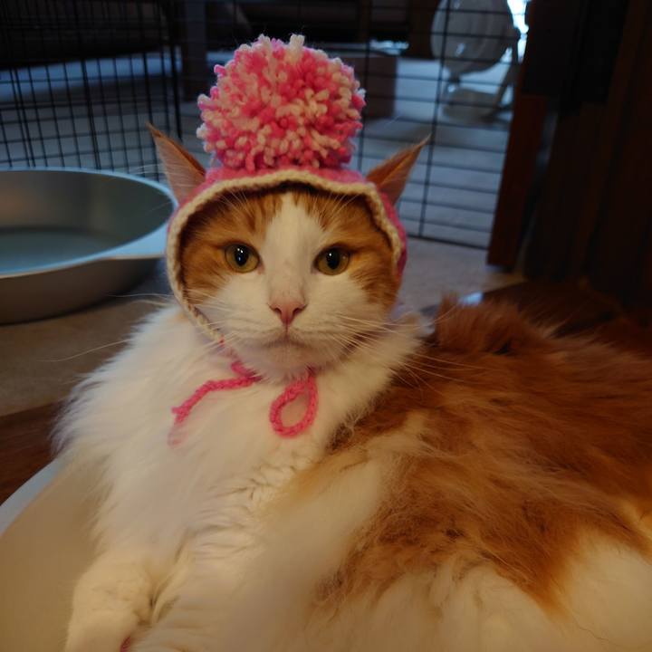 F6f63019 4c75 45c2 90ac 7c94cc1df885 1631623171519