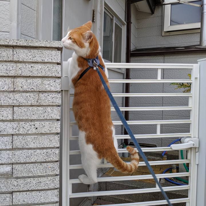 F6f638ee 4c42 434b 8277 c57973a71aff 1566780376419