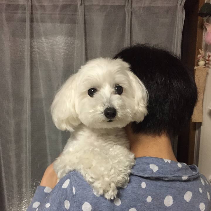 F6f63f20 ef6d 4b3b 8cea 0f840eee152a 1527075108070