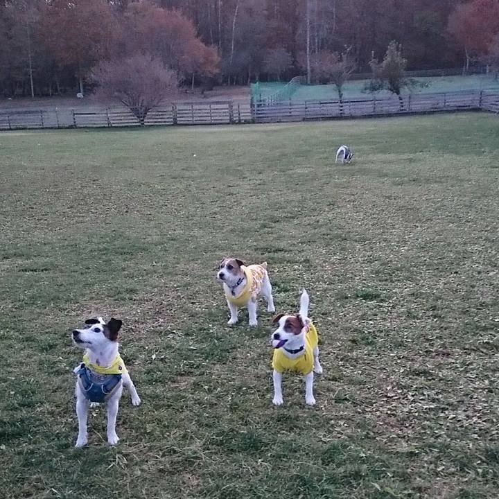 F6f6675d 3bdd 45cf b338 d29f3e07bce7 1573390554773