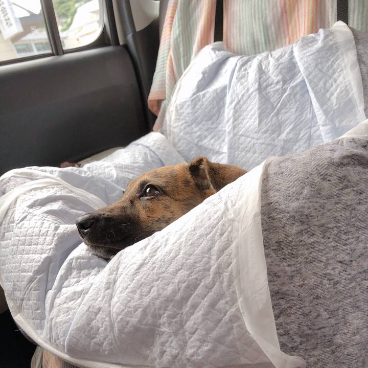 F6f67229 9d14 44c6 94a9 a364cb9f8134 1568012019612