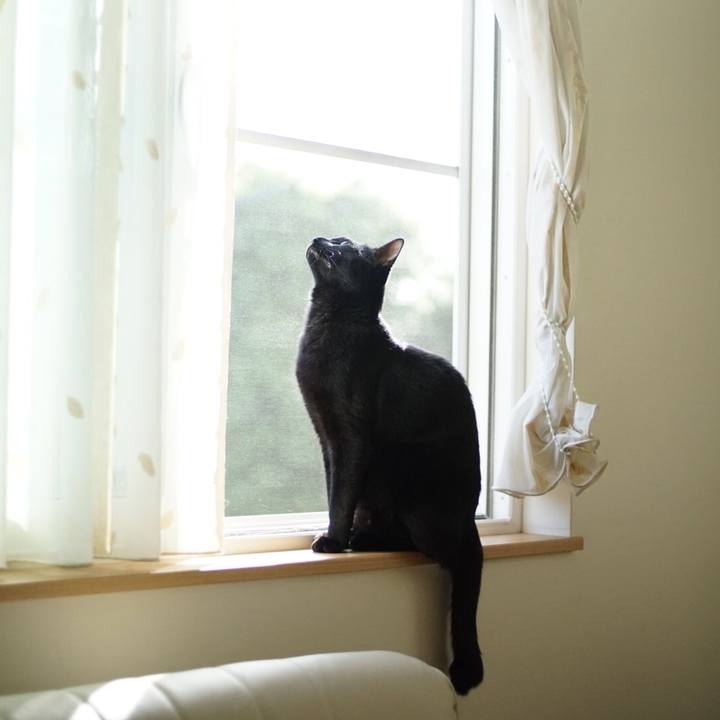 F6f6751a abe9 4701 829e 56209c6d5afd 1526427954401