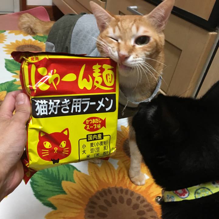 F6f69778 a468 432c bf7c f003a1f9e8e8 1540292193083