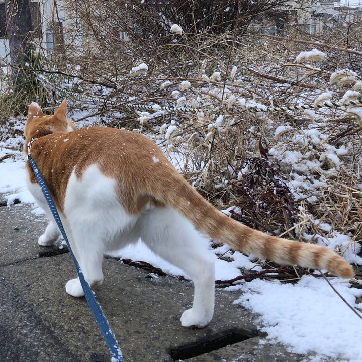 F6f69f56 eb23 4c51 8c72 a640f7d3b1c1 1548296534132