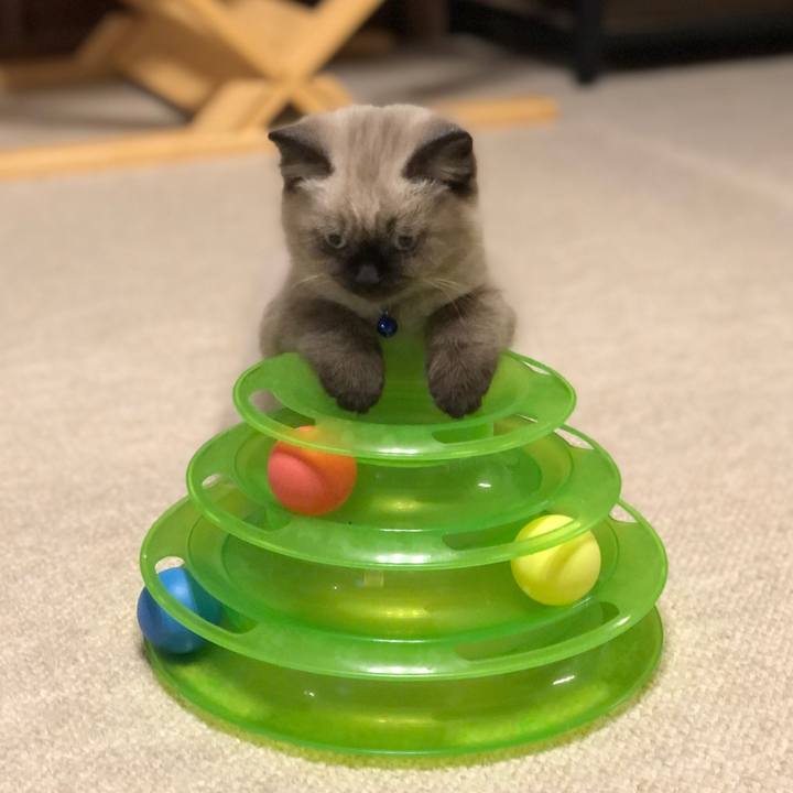 F6f6a3dc db25 443d 9d4b cb987310a16a 1586909945135