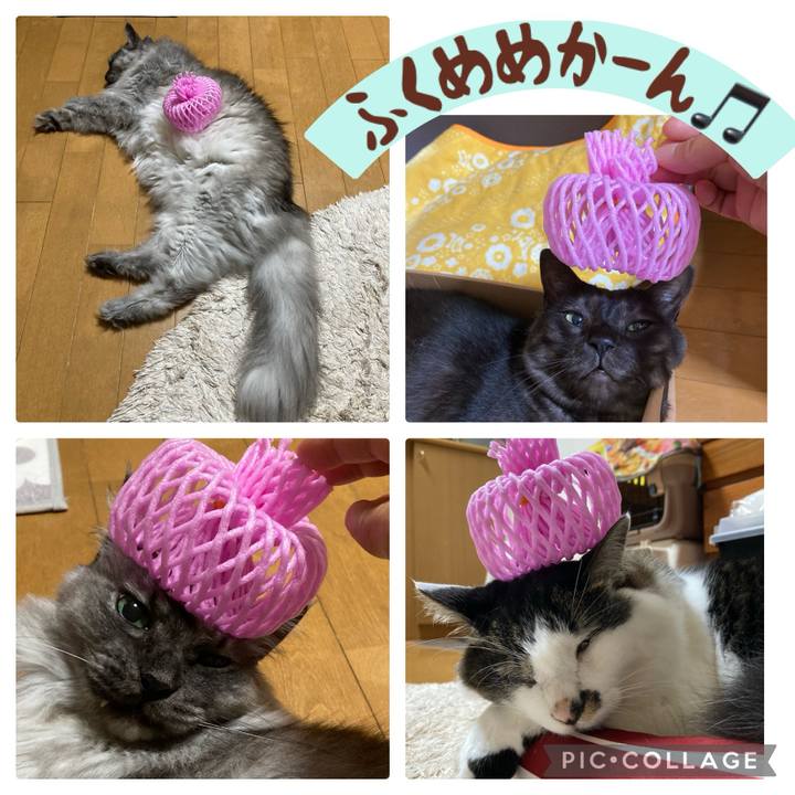 F6f6d094 4212 42f5 895f 4cd91cbedca5 1710634398034