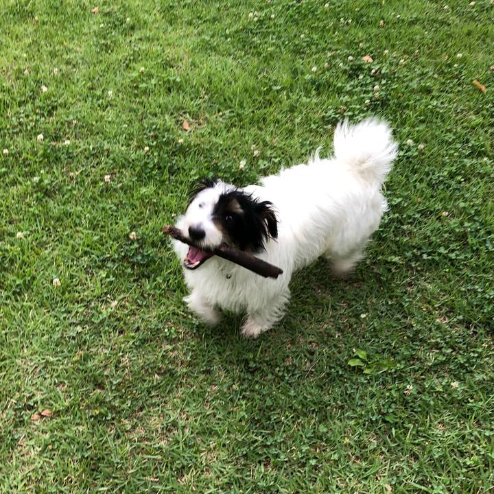 F6f6d7e8 62fa 49ba ac73 2ad772c0ef53 1529275554120