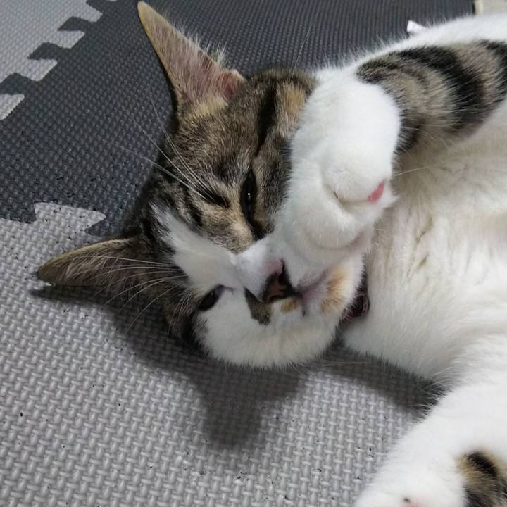 F6f70d9c 8f60 4fd3 9d84 119e64869426 1621510102836