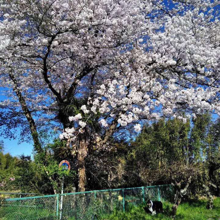 F6f75387 aa08 490d 9704 9451ca2fc2c7 1554816734986