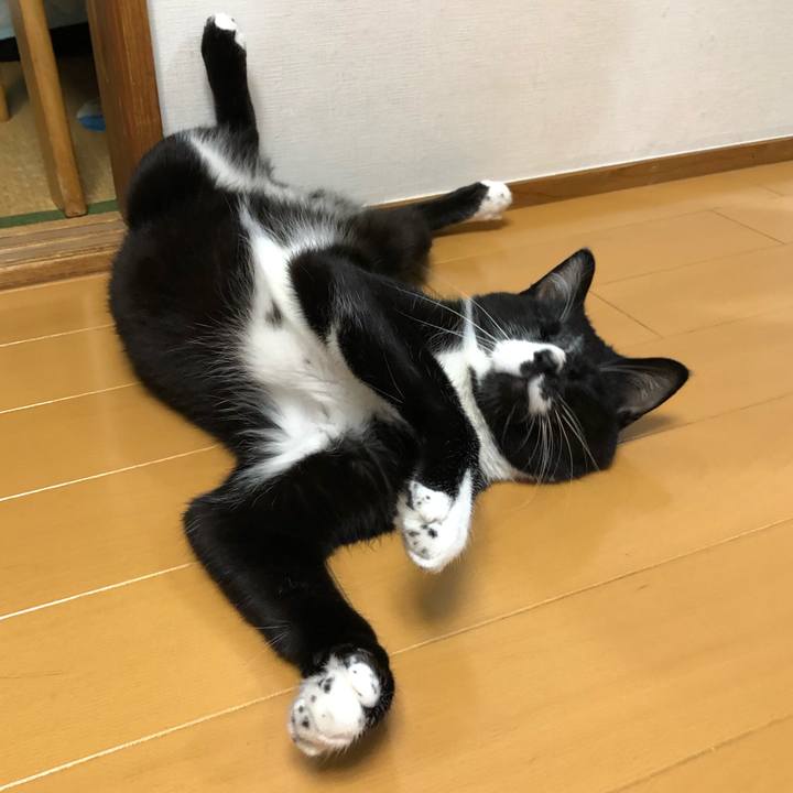 F6f77798 ab0f 44fe a558 4636d76b1bcd 1570506466341