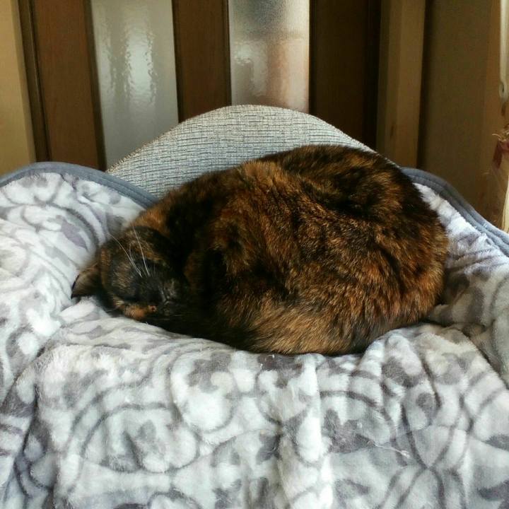 F6f7aec0 7bdf 4f06 9a13 b30e3de539b9 1555663330331