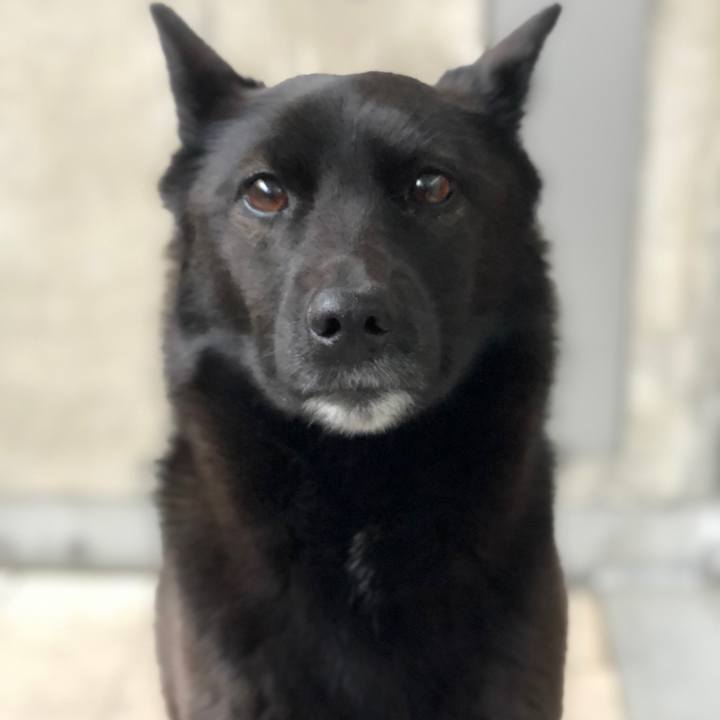 F6f7d883 c70e 4a50 bcdf d056fff43404 1618013804259