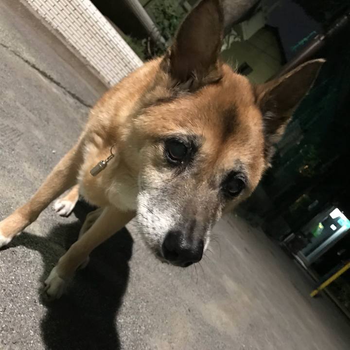 F6f8073d 9163 4159 903b 3faab8a417d5 1534678411871