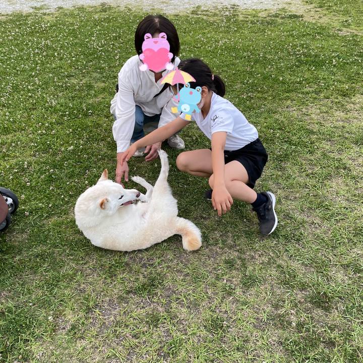 F6f86aff 9c9c 430d 937e 8cc989f94278 1654358775374