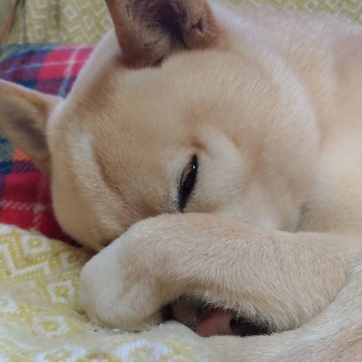 F6f86da4 f7df 4c14 af80 c0f42921515d 1576799604403