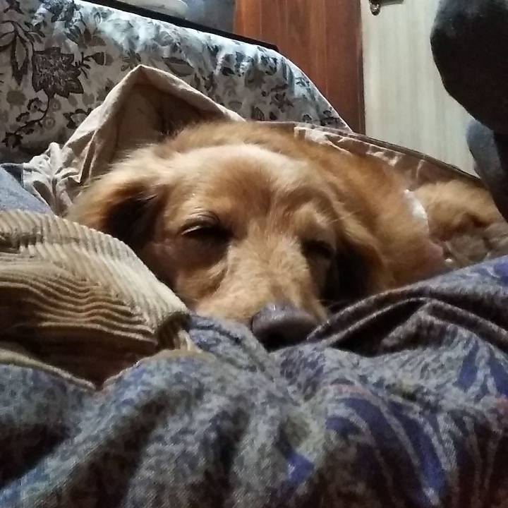 F6f87dd4 6212 4cc2 84a0 d488d2cfbd62 1620470118394