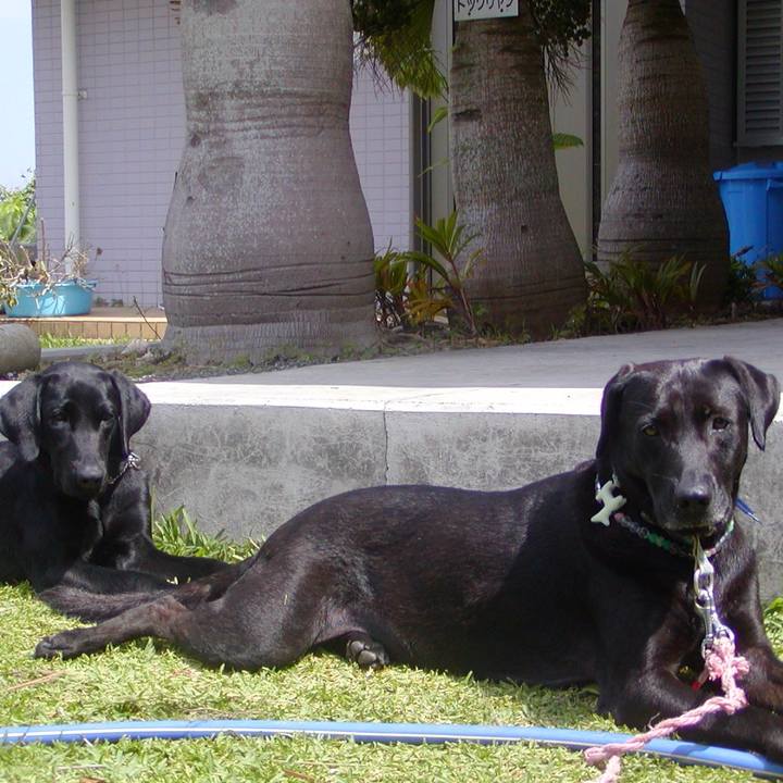 F6f88164 bd3a 4998 839e 15cfa5a09f3b 1522308336601