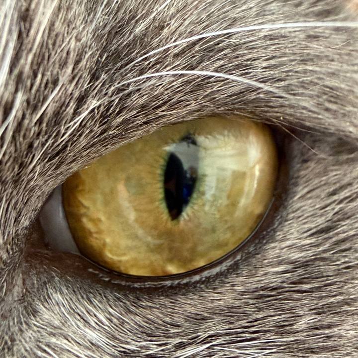 F6f8b431 9a41 4301 aa61 6d353c86f75d 1762526928433